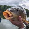 Osprey Fishing Charters gift card