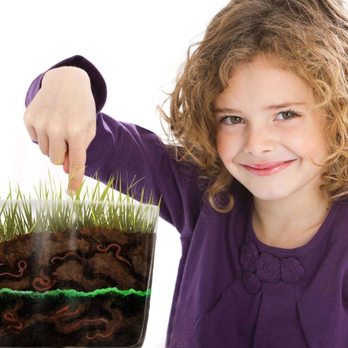 The Worm Girls - Nurseries & Gardening Near Me The Worm Girls - Nurseries & Gardening Near Me