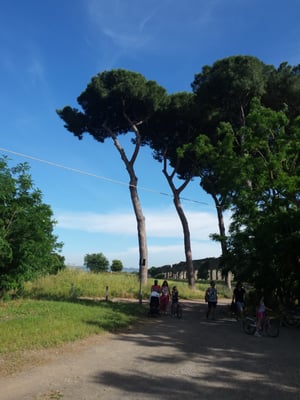 The Park of the Aqueducts by null