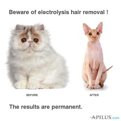 The Best Electrolysis