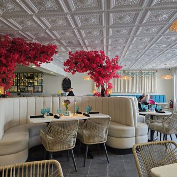 Viva La Vida - Beautiful space - Cuban Near Me - Sarasota, Florida Viva La Vida - Beautiful space - Cuban Near Me - Sarasota, Florida