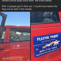 Playful Paws Pet Professional