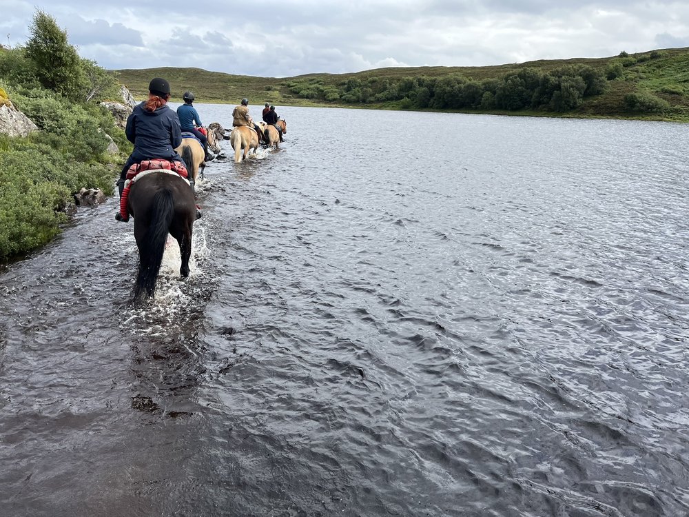 Highlands Unbridled Trail Riding and Trekking centre