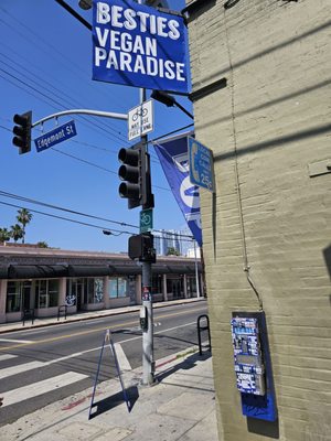 BESTIES Vegan Paradise by null