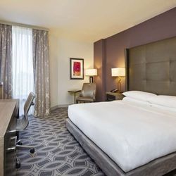DoubleTree by Hilton Hotel Orlando East-UCF Area - Guest room