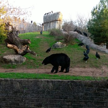 Cameron Park Zoo - Zoos Near Me - Waco, Texas Cameron Park Zoo - Zoos Near Me - Waco, Texas
