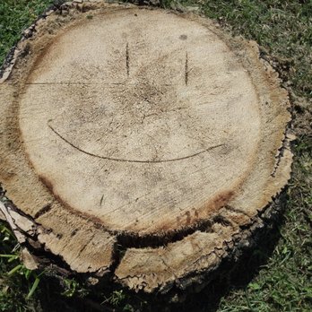 Ben's Trees - Tree Services Near Me - St. Petersburg, Florida Ben's Trees - Tree Services Near Me - St. Petersburg, Florida