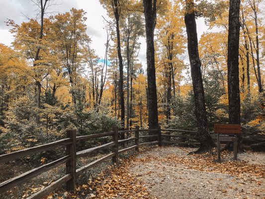 Miners Falls by null