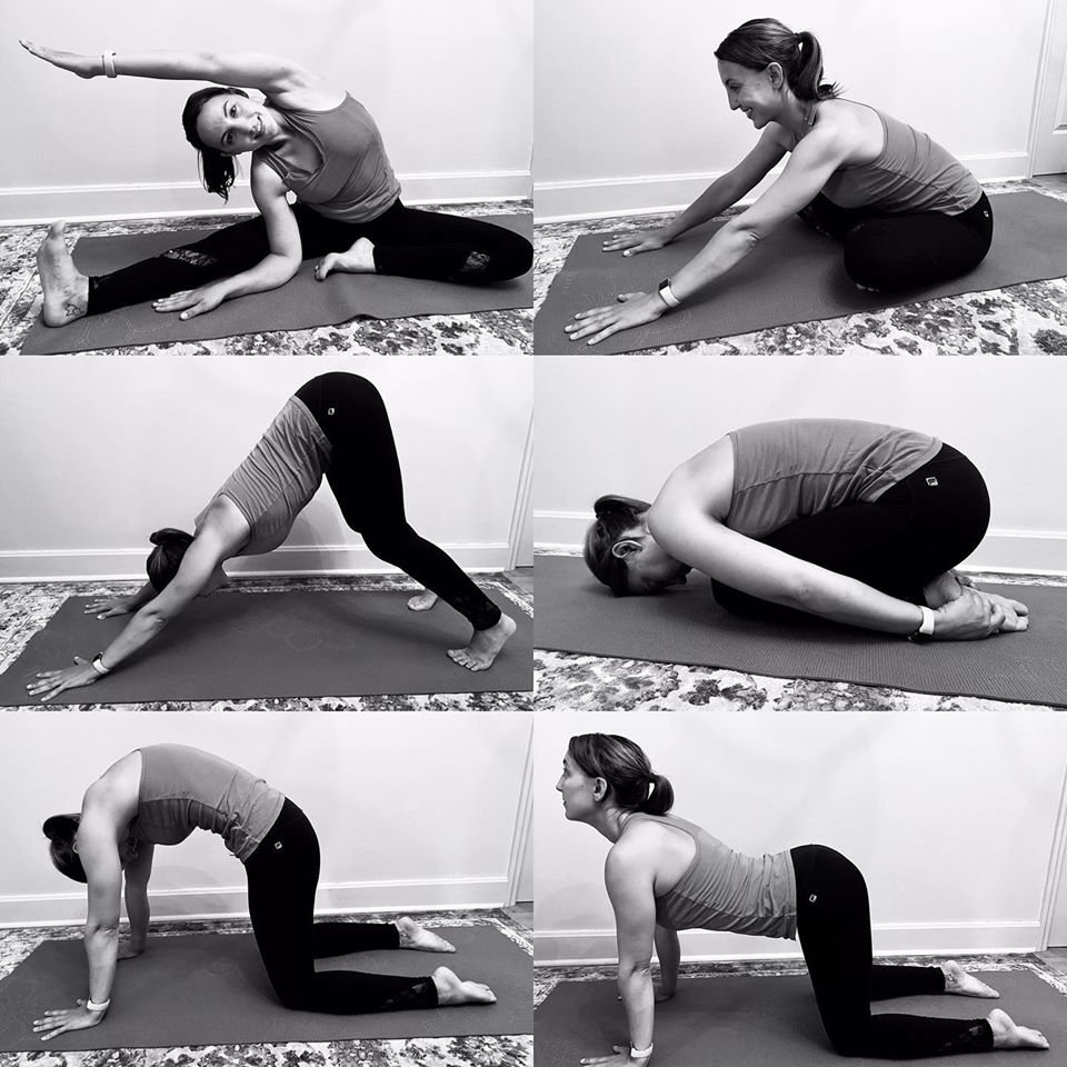 Amy Lynn Yoga Logo