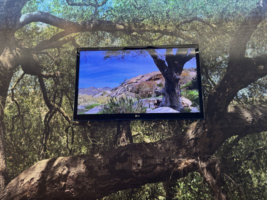 Laguna Coast Wilderness Park: Big Bend by null