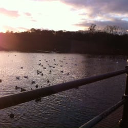 Wyndley Pool