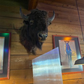 Tumbleweed Southwest Grill - a buffalo head mounted on the wall - American Near Me - Chillicothe, Ohio