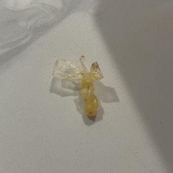 Maciano's Pizza & Pastaria - Plastic found under the cheese in our pizza - Pizza Near Me - Carol Stream, Illinois