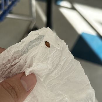Abilene Tumble Wash - Bed bug‼ - Laundromat Near Me - Abilene, Texas