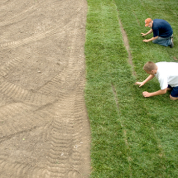Pro Turf Landscape Services - two men working in a field - Lawn Services Near Me - Brownsboro, Alabama Pro Turf Landscape Services - two men working in a field - Lawn Services Near Me - Brownsboro, Alabama