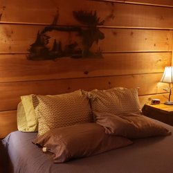 Hot Springs Log Cabins - The Paw Print cabin