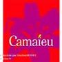 Photo of Camaieu