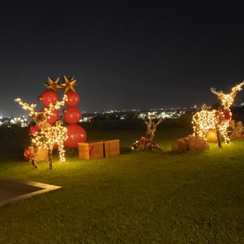 Paradisus - Christmas decore - Hotels Near Me - Cancún, ROO