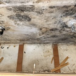 Swift Restoration - Mold found on a wall behind a bathroom vanity.