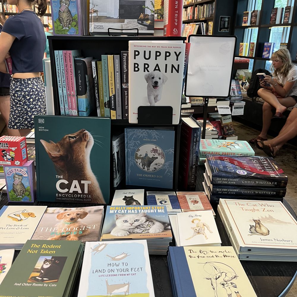 Books & Books - Cats (and dogs) books on display - Art Supplies Near Me - Key West, Florida Books & Books - Cats (and dogs) books on display - Art Supplies Near Me - Key West, Florida