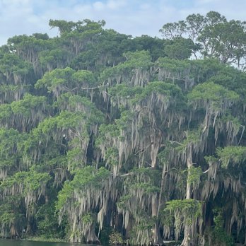 Get Up And Go Kayaking - Winter Park - Boat Tours Near Me - Winter Park, Florida Get Up And Go Kayaking - Winter Park - Boat Tours Near Me - Winter Park, Florida