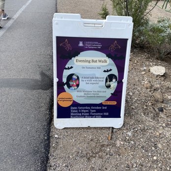 Tumamoc Hill - Bats - Hiking Near Me - Tucson, Arizona