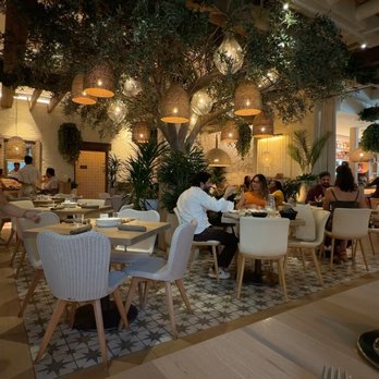 Ema - Mediterranean Near Me - Austin, Texas