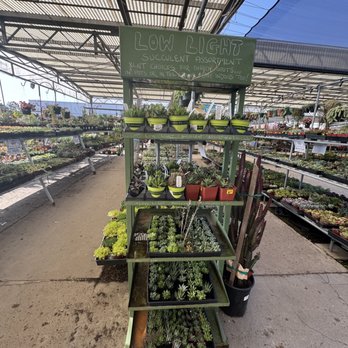 Green Thumb Nursery - Nurseries & Gardening Near Me - Ventura, California