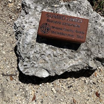 Old Settler’s Park - Gumbo limbo - Landmarks & Historical Buildings Near Me - Key West, Florida