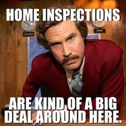 South Property Inspectors - yes, yes they are!