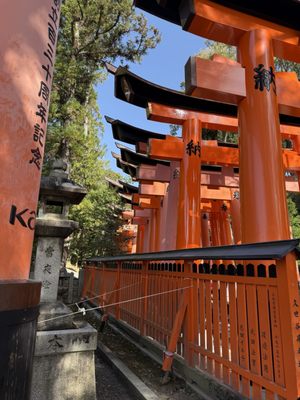 Senbon Torii (Thousand Torii Gates) by null