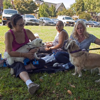 Bark In the Park - BARK IN THE PARK - San Jose , California 2014 ( Photo Credit: Don Yount donyount@gmail.com ) - Festivals Near Me - San Jose, California Bark In the Park - BARK IN THE PARK - San Jose , California 2014 ( Photo Credit: Don Yount donyount@gmail.com ) - Festivals Near Me - San Jose, California