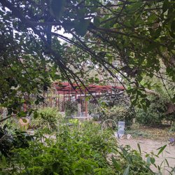 Buena Creek Gardens