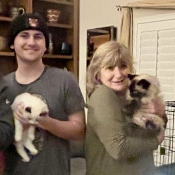Fallbrook Animal Sanctuary - Our 4 cat family. - Animal Shelters Near Me - Fallbrook, California
