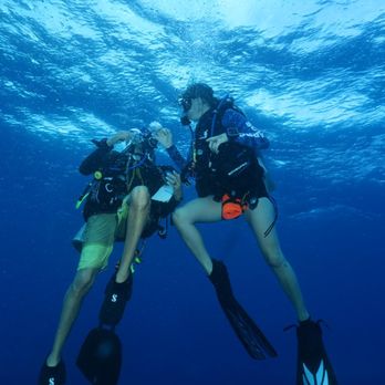 Aquatica - Scuba Diving Near Me - Aguadilla, Puerto Rico Aquatica - Scuba Diving Near Me - Aguadilla, Puerto Rico