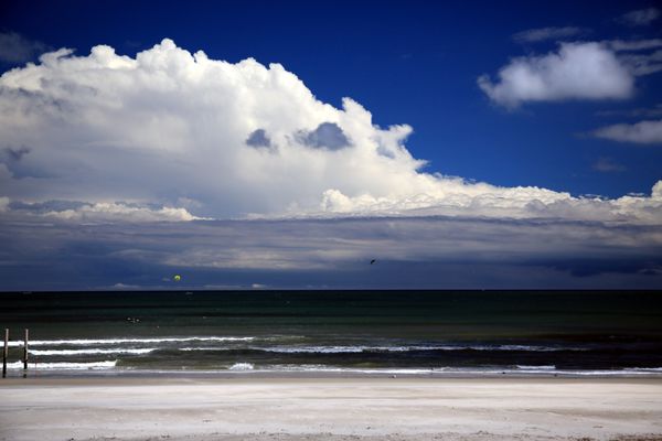 Cape May National Wildlife Refuge by null