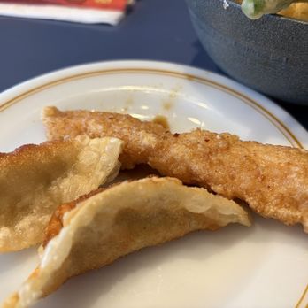 Toh Zan Nagasaki Grill - Gyoza and chicken skewer - Japanese Curry Near Me - Mesa, Arizona