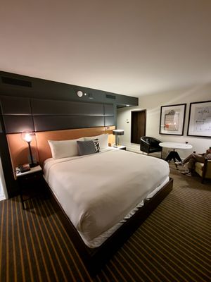 Hotel Theodore by null