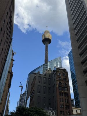 Sydney Tower Eye by null
