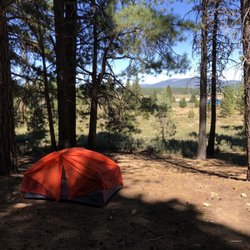 Prosser Family Campground - Campground #15 view