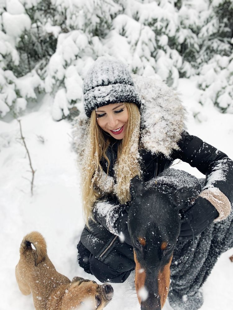 MONTREAL DOG TRAINER Updated July 2024 Request Consultation 12