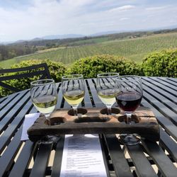Barren Ridge Vineyards - Beautiful wine tasting selection from crisp apple to velvety reds.