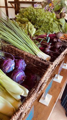 Velma's Farm Stand at Filigreen Farm by null