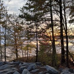 North Bend State Park - View from our campsite C184.