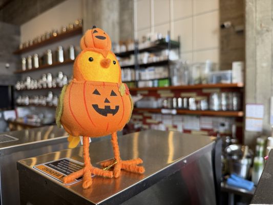 Asha Tea House by null