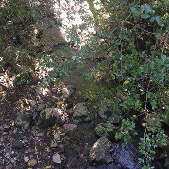 Monte Bello Open Space Preserve - Some water in creek - Hiking Near Me - Palo Alto, California Monte Bello Open Space Preserve - Some water in creek - Hiking Near Me - Palo Alto, California