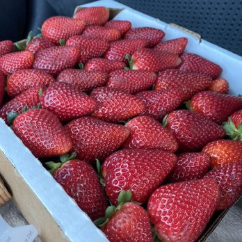 Saras Chocolate Delights - Fresh Straberries !! - Desserts Near Me Saras Chocolate Delights - Fresh Straberries !! - Desserts Near Me