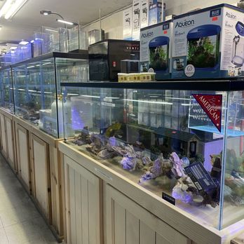 Rainbow Aquarium and Pond - Aquarium Services Near Me - Arleta, California Rainbow Aquarium and Pond - Aquarium Services Near Me - Arleta, California