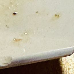 Broken plates