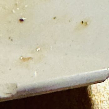 Chanti’s Pizza - Broken plates - Salad Near Me - Conway, South Carolina